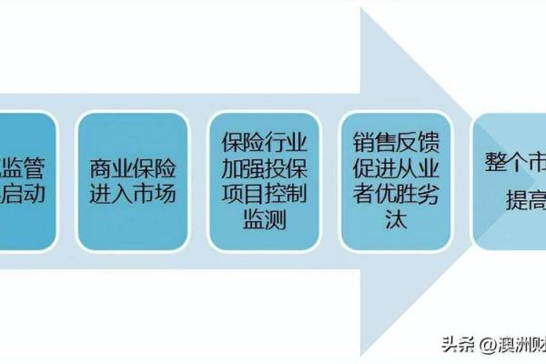 根据名字决策命运：揭示姓名背后的潜在力量与秘密