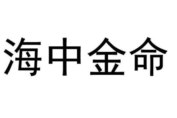 海中金命年佩戴什么：开启幸运之门的神秘密码