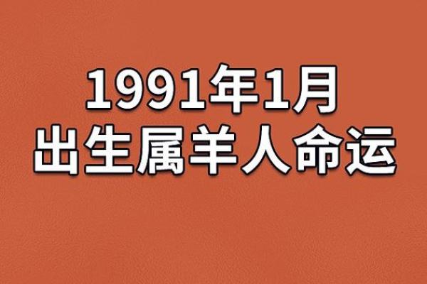 解密1979属羊人的命运与性格特征