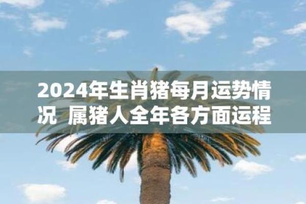 83岁属猪之人命运解析：幸福与挑战同行