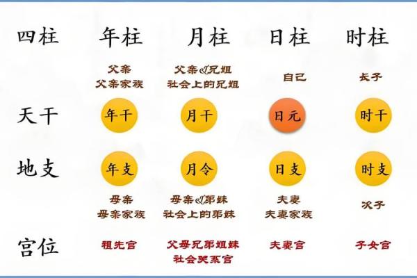 1988年出生的人：五行命理解析与人生指南