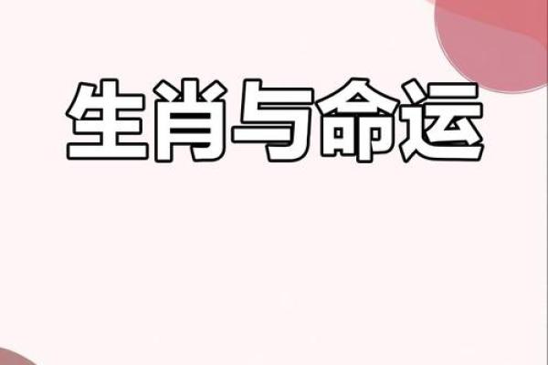 揭秘65岁属相的命运与性格，探寻人生奥秘！