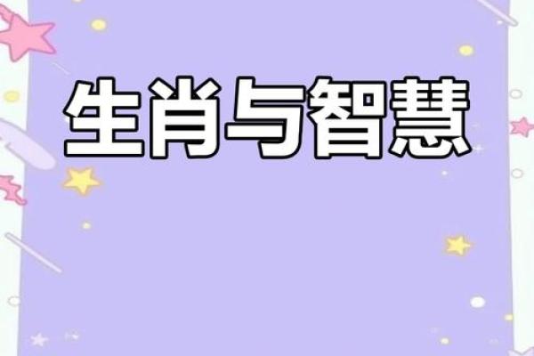 揭秘65岁属相的命运与性格，探寻人生奥秘！