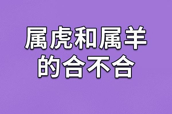 986年属虎的命运与性格分析：深度解读虎年人的生活之路