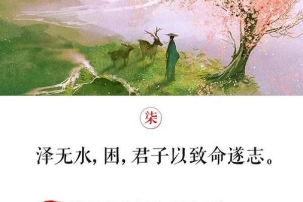 福泽深厚命：探索生活中的秘诀与智慧