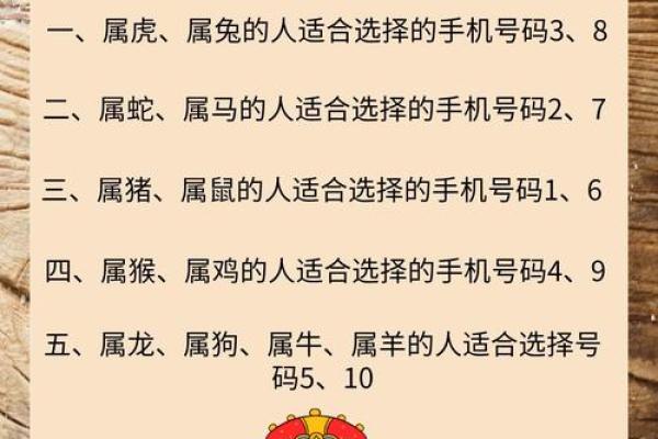 揭示年命生肖的秘密：你的生肖究竟在生活中发挥着怎样的作用？