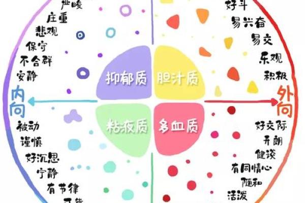 2017年出生的人命运与性格分析：揭秘28个生活秘密