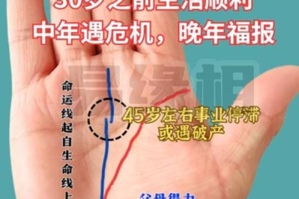 手相揭秘：为何手厚实的女性命运格外出众？