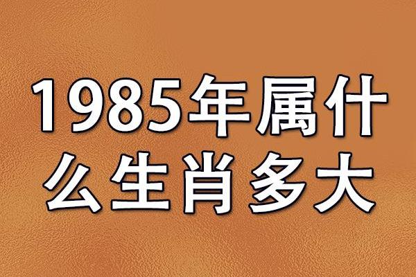 1985年属牛的人命运解析与人生智慧