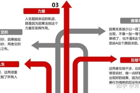 1991年阴历2月出生的命运解析与人生轨迹