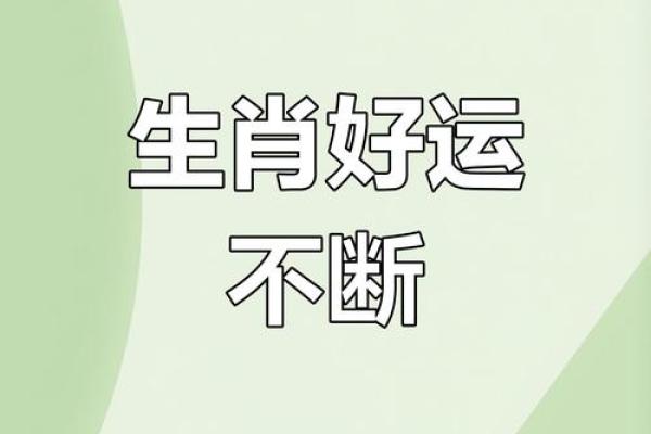 2017年属鸡命运解析：如何把握机遇与挑战