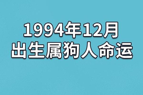 1990年属狗的命运解析与生活建议