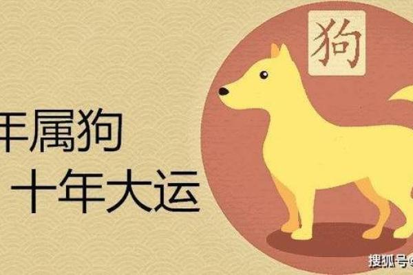 82年狗命解析：性格、运势与禁忌全揭秘！