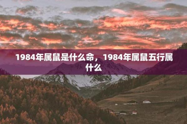 1996鼠年出生的人命理缺什么？浅析其五行与命运之道