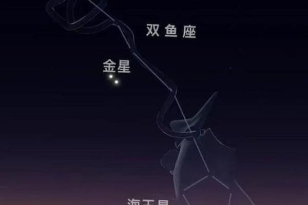 金星在双鱼座：浪漫与梦想的完美交融