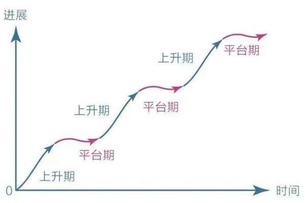 解读2.6两女命：魅力与智慧的平衡之路