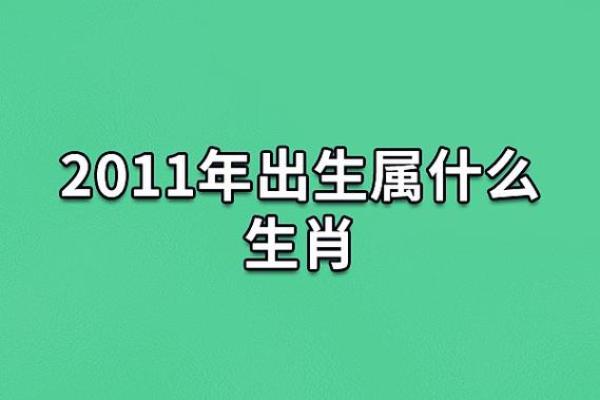 1999年出生的属相及其命理解析，福运与个性特点一网打尽！