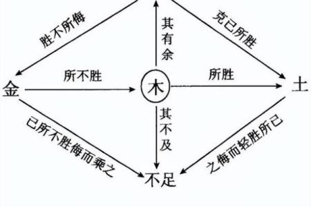 大林木命与五行相克的深层解析及调和技巧