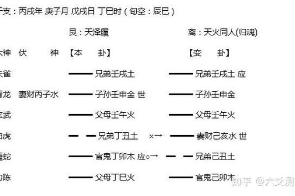 狗年冬月出生的人命运解析：性格与未来的启示