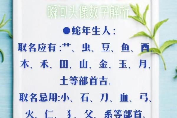 金蛇之命：探秘生肖蛇的深刻寓意与人生启示