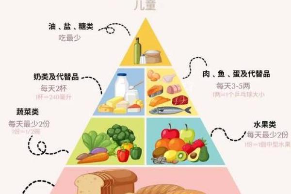 养命最佳方法：科学饮食与健康生活的完美结合