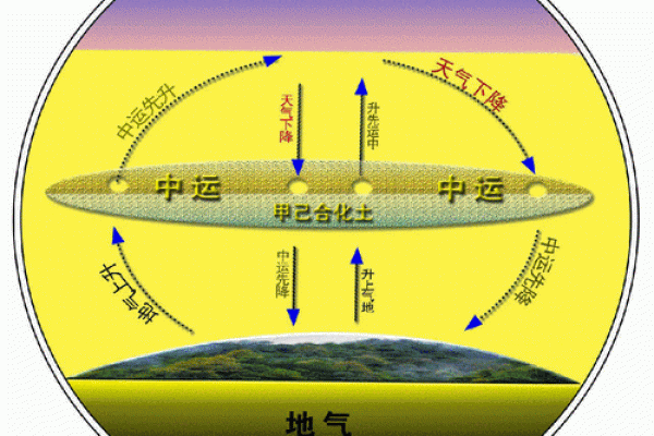 甲辰月出生的命理解析：一探命运的神秘之旅