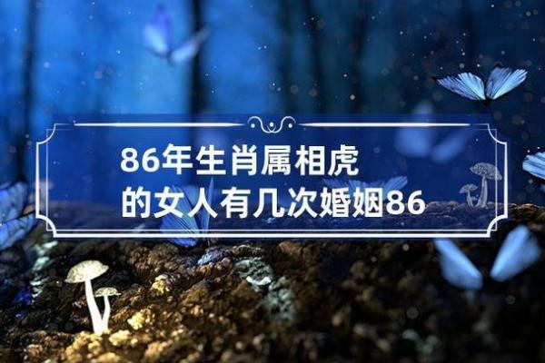 1986属虎男生的命运与人生解析：探寻不同命格的精彩人生