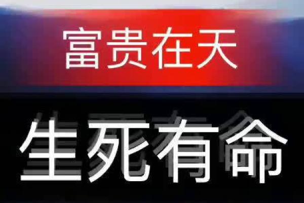 1992年猴子命运解析：揭秘你命中的富贵与机遇