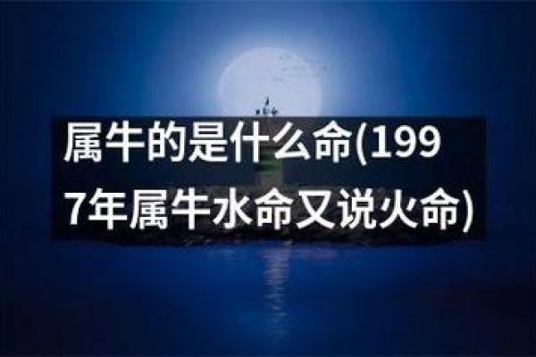 1997年牛年出生的人命理解析与人生启示