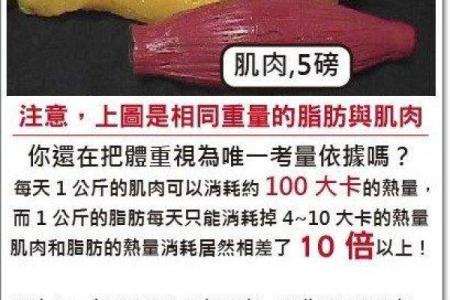 肌肉发达却寿命短：揭秘强壮背后的健康隐患