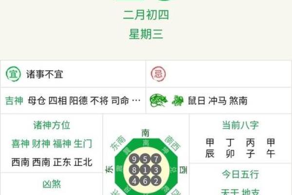 2019年生肖命行解析：如何迎接你的运势与挑战