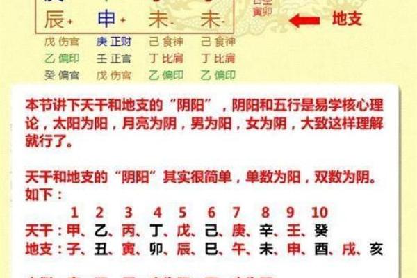 1993年的男孩：命运与人生的五行探究