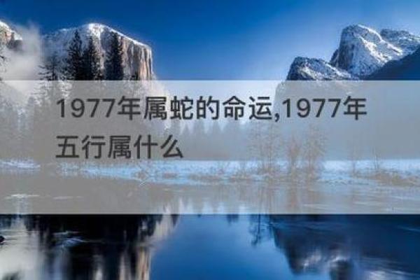 1995年腊月出生的人命运探秘：属于你的生肖与命格之旅