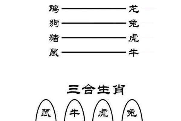 生肖属狗的命运与性格解析：揭开命理的神秘面纱