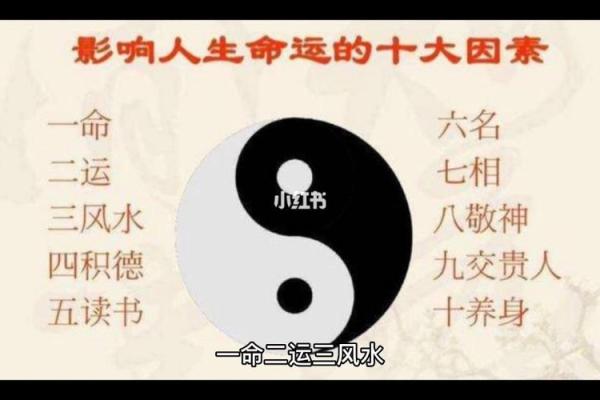 解析1991年出生人的命运与性格特征，揭示人生智慧