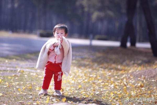 腊月宝宝的命运解析：2016年新生儿的命理指引与人生趋势