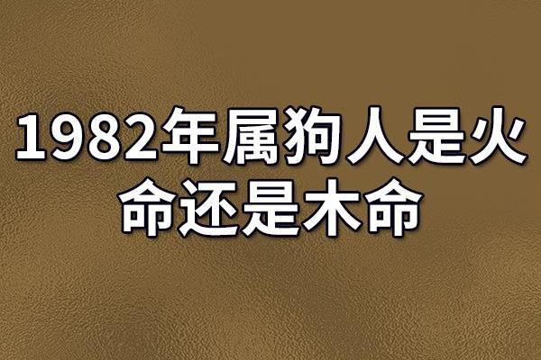 揭秘生肖狗男生的命格与人生走向