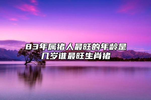 属猪的人命好，财富与幸福相伴的秘密探秘