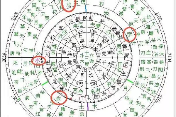 1987年属鼠的人命运分析：揭示命格与人生机遇