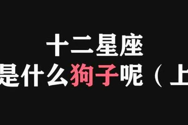 1982年属狗命：性格特点与命运解析