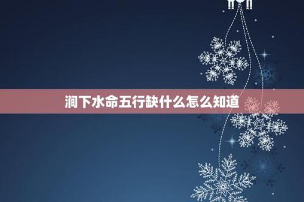 涧下水命的人适合哪些花？揭示花卉与命理的微妙关系