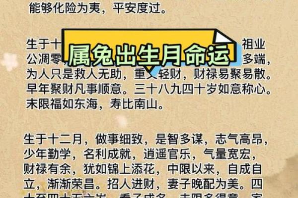 2023鼠兔之年：探索命理与运势的奥秘，迎接新机遇与挑战！