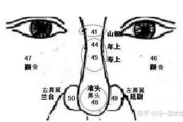 鼻尖有痣意味着什么？细说痣与命运的神秘关系