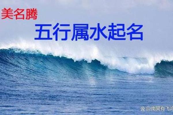 2016年是水命年，揭秘水命人的独特魅力与生活智慧