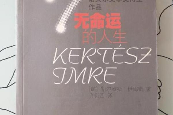 2002年正月20日出生的人命运解析与人生启示