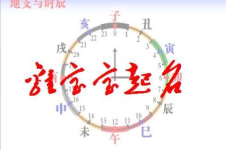 81属鸡命里缺什么？深度解析与补救之法！