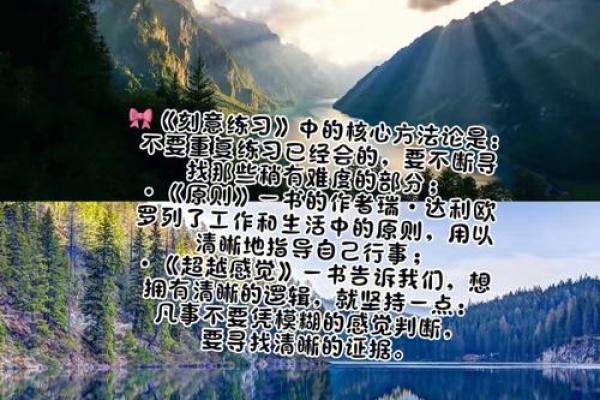 通过出生与命运的辩证关系，探索人生的无限可能性