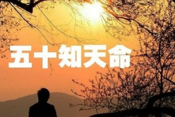 2023年86岁：探索八十六岁的命运与生活智慧