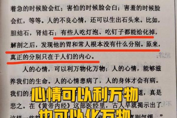 1958年出生的命运解析：探索其内在的智慧与性格特征