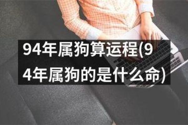 属狗的40岁命运解析：人生的转折点与机遇